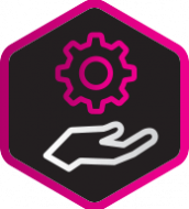 mega-section-visual-Ig mega-section-visual-Ig